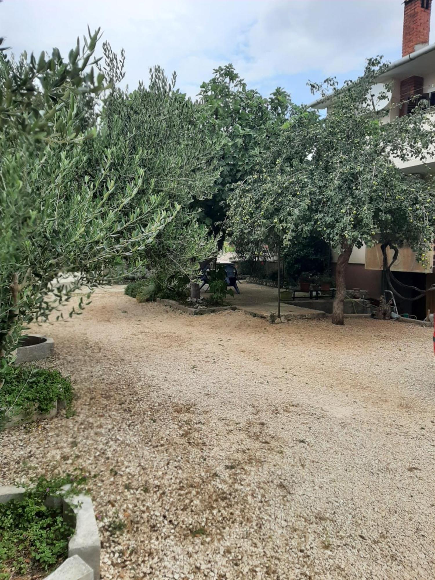 Apartmani Marija Povljana Rom bilde