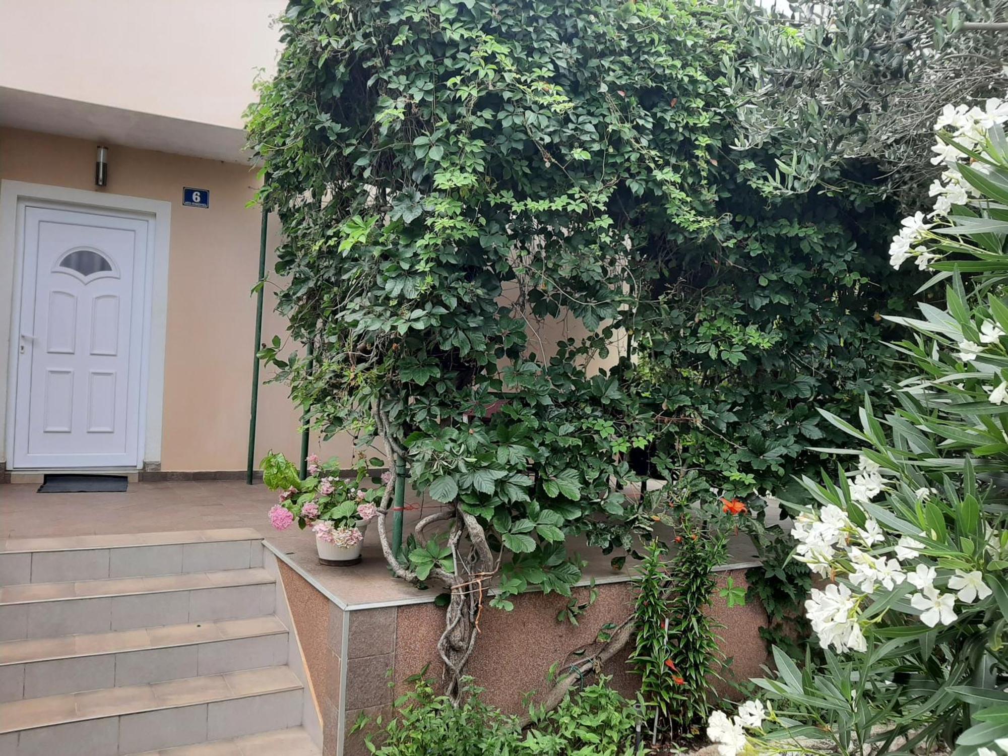 Apartmani Marija Povljana Rom bilde