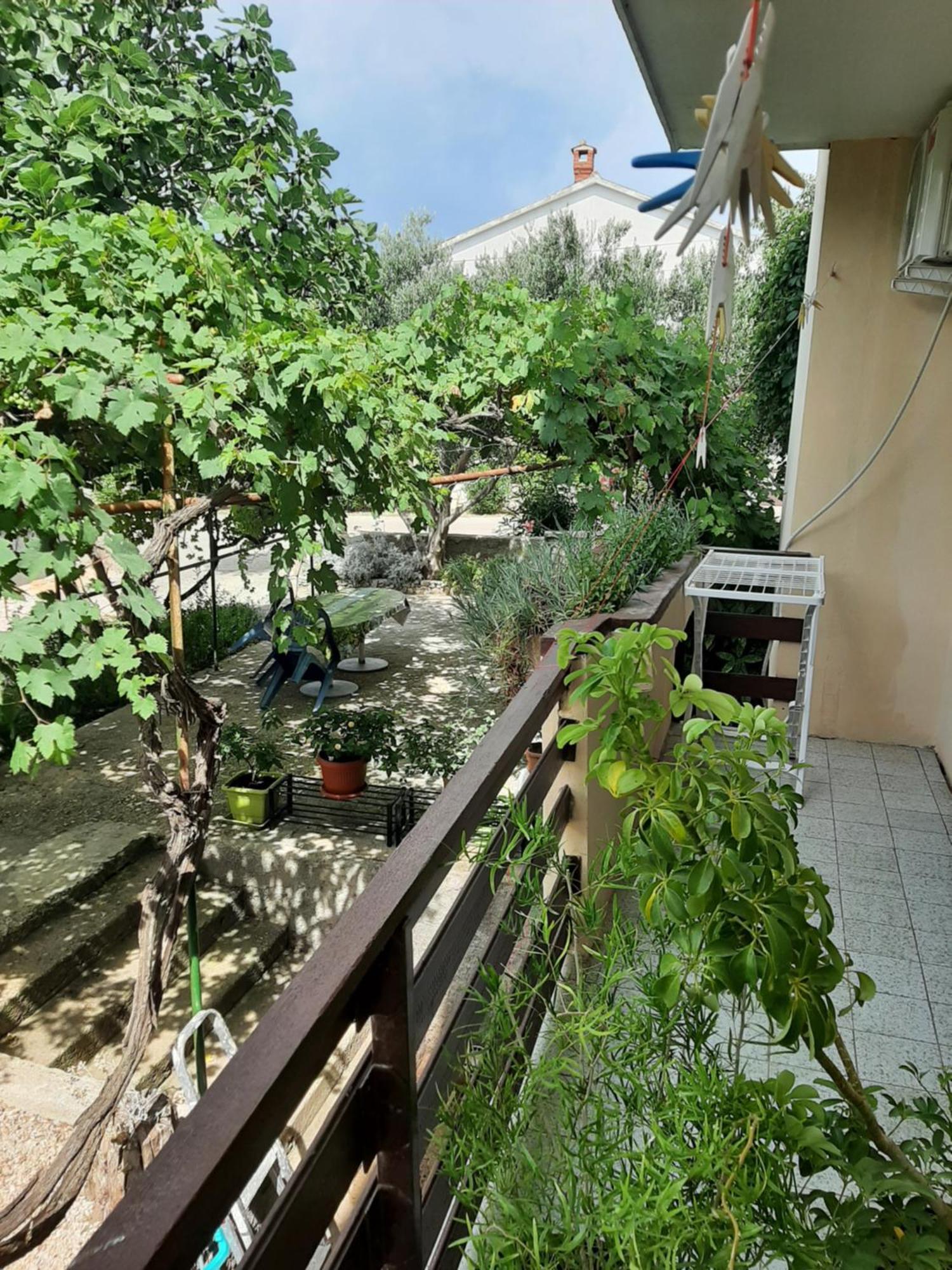 Apartmani Marija Povljana Rom bilde