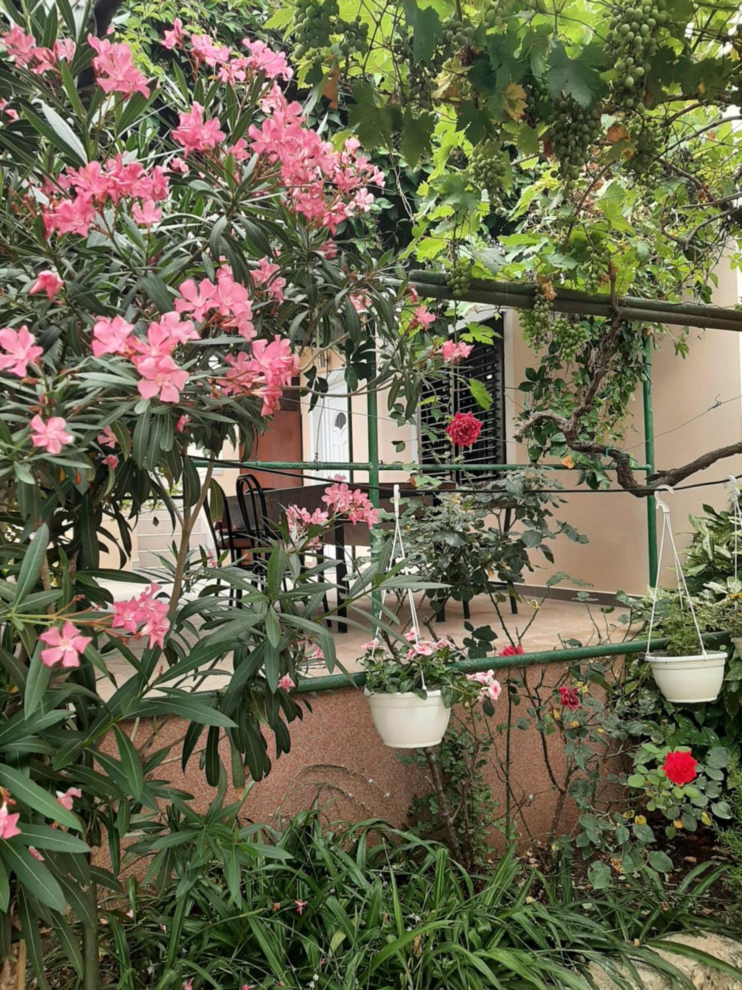 Apartmani Marija Povljana Rom bilde