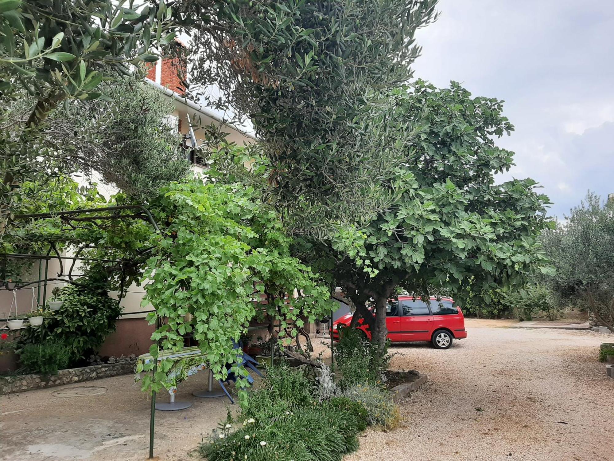 Apartmani Marija Povljana Rom bilde